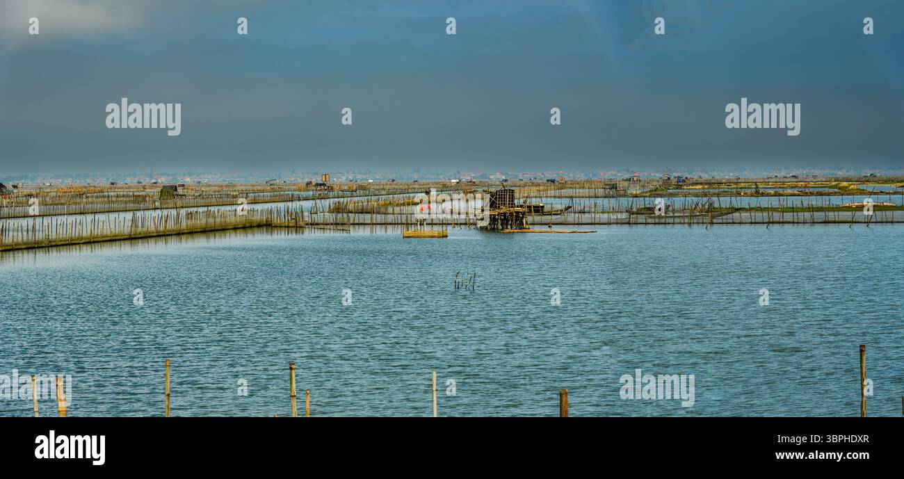 Vibrant aquaculture farm in Thuy Dien, Hue, Vietnam. A network of bamboo rafts and enclosures creates a unique landscape in the coastal waters. The sc Stock Photo