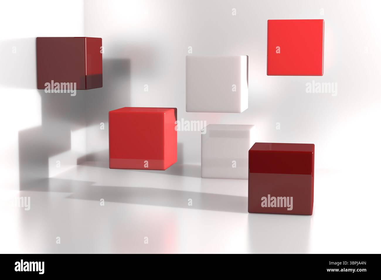Six glossy red, white cubes are floating in minimalist 3D render studio space casting soft shadows Stock Photo