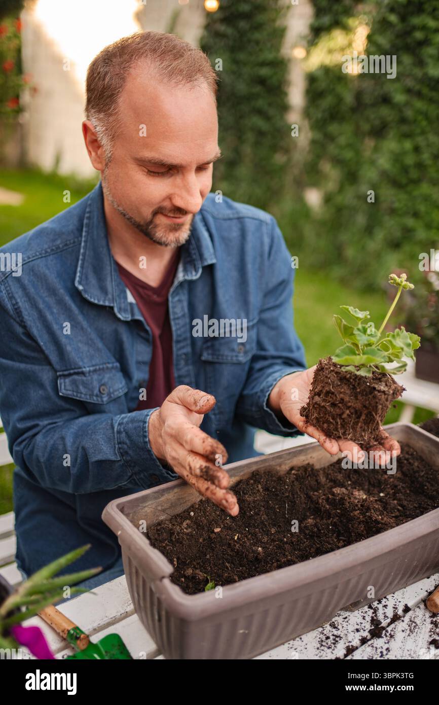 Man Planting Roses Planting tips hi-res stock photography and images - Alamy