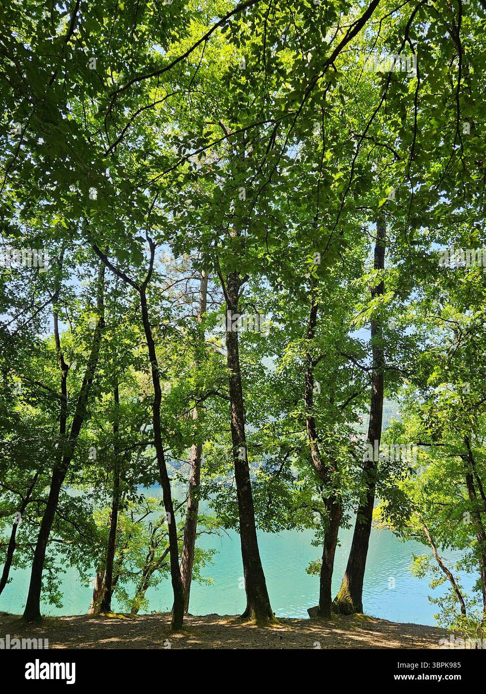 Suviana Lake - Smartphone Captured Stock Image