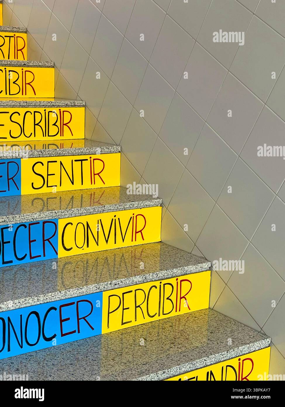 Stairs with verbs in the steps. - Smartphone Captured Stock Image