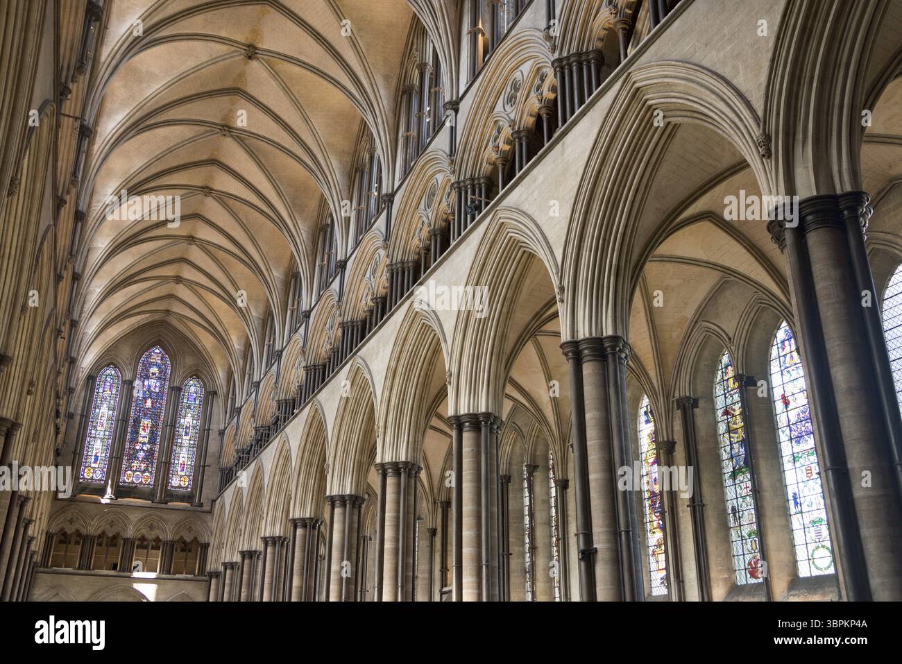 rib vaulting of the Gothic nave, Salisbury Cathedral, England, UK Stock ...
