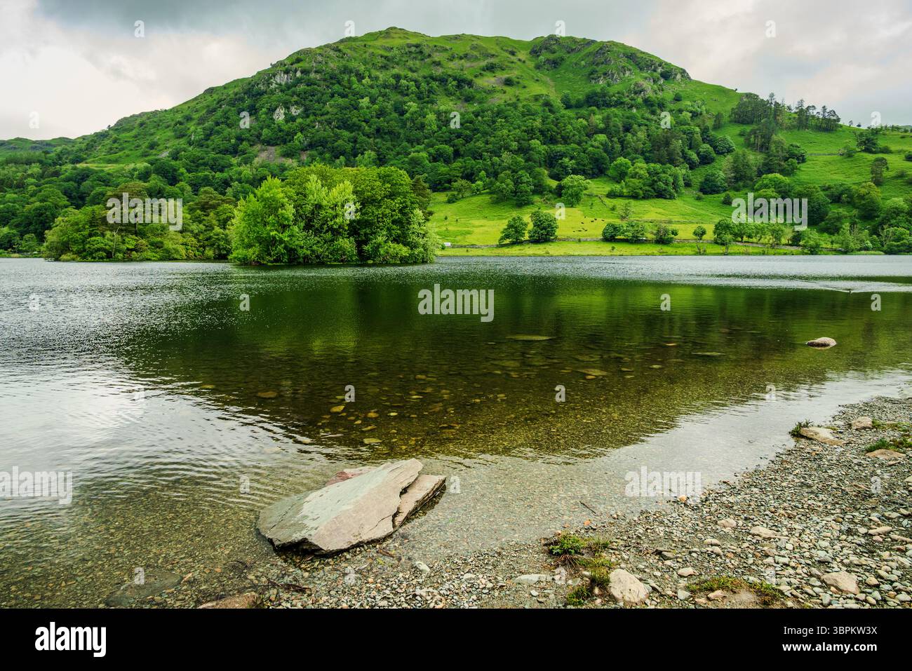 The clear, shallow waters of Rydal Water gently reflect the fresh green slopes of the opposite fell, creating a calm, mirror-like scene Stock Photo