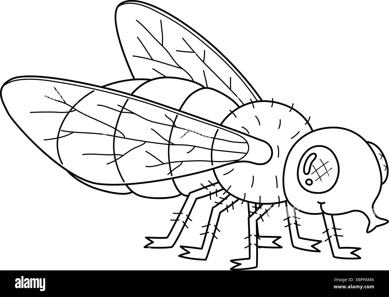Small fruit flies Cut Out Stock Images & Pictures - Alamy