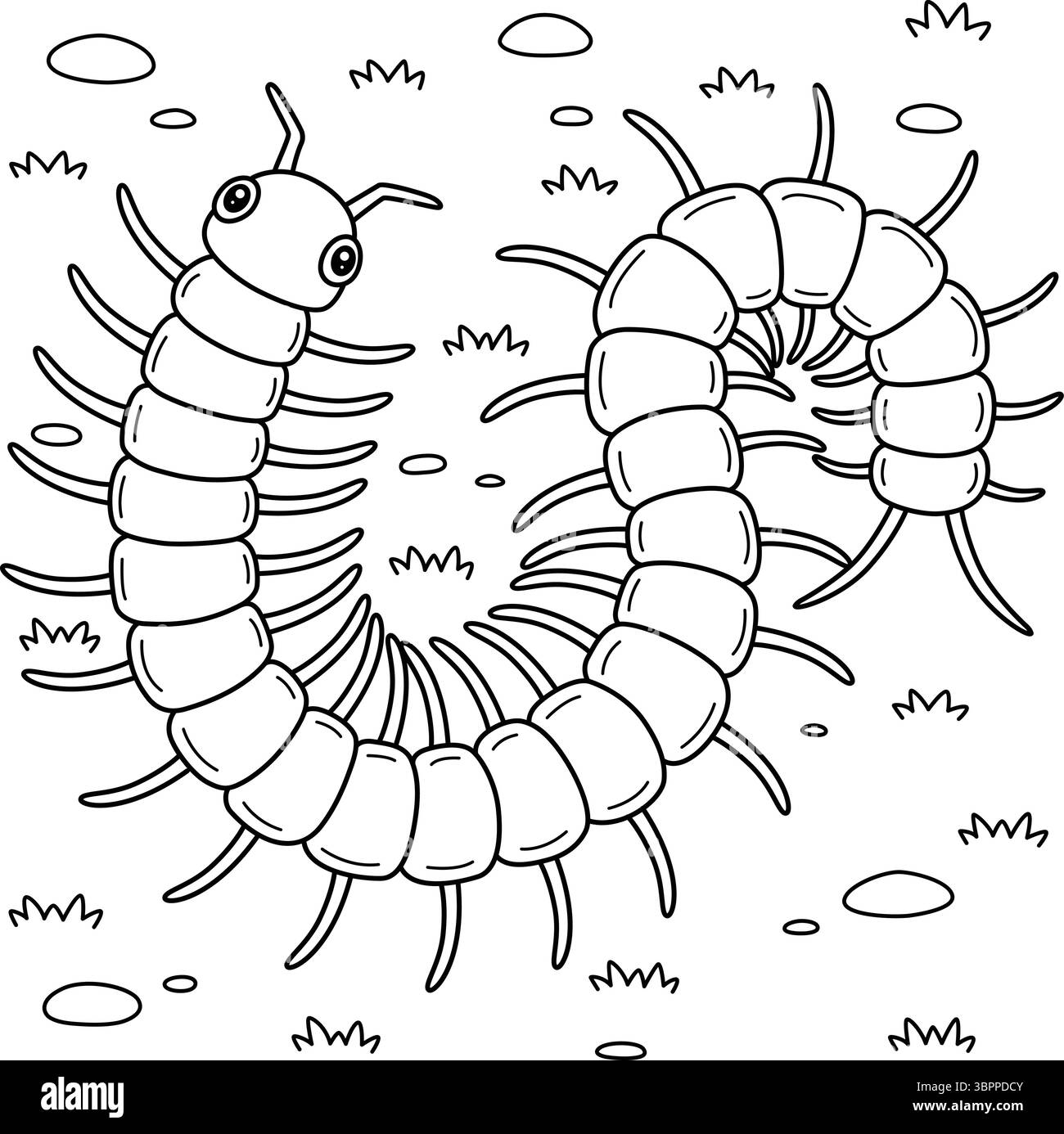 Insect Centipede Animal Coloring Page for Kids Stock Vector Image &amp; Art ...