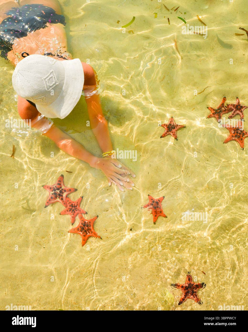 Koh Rong Fish Both Woman tourist visit star fish beach pick starfish in famous tropical ...