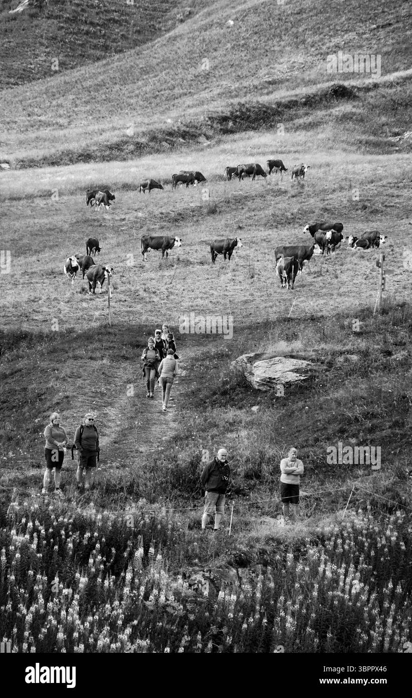 Eco region Black and White Stock Photos & Images - Alamy