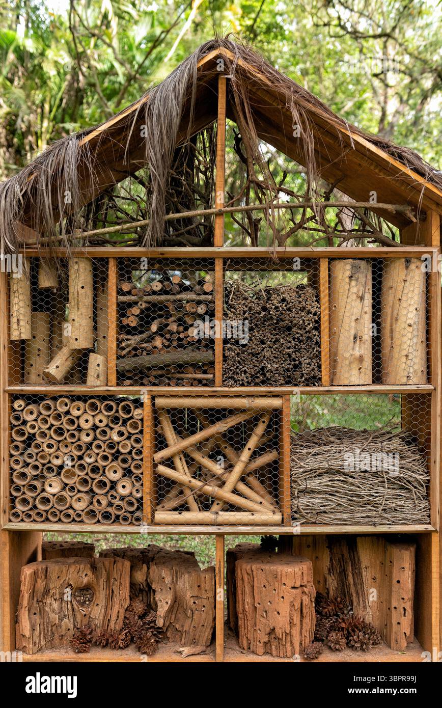 Hotel minibeast hi-res stock photography and images - Alamy