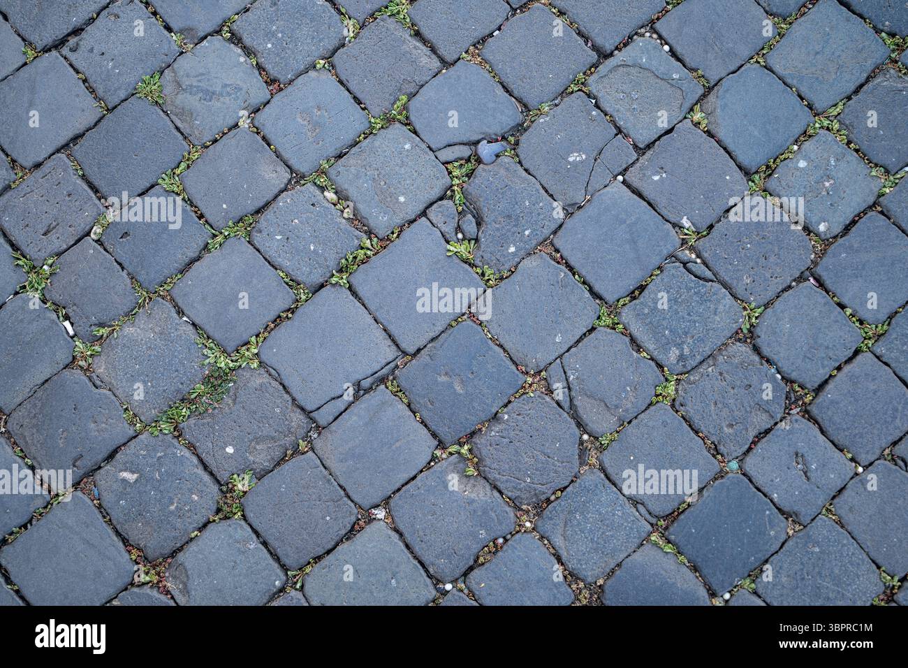 Roman 'cobbles' made up of basalt squares Stock Photo - Alamy