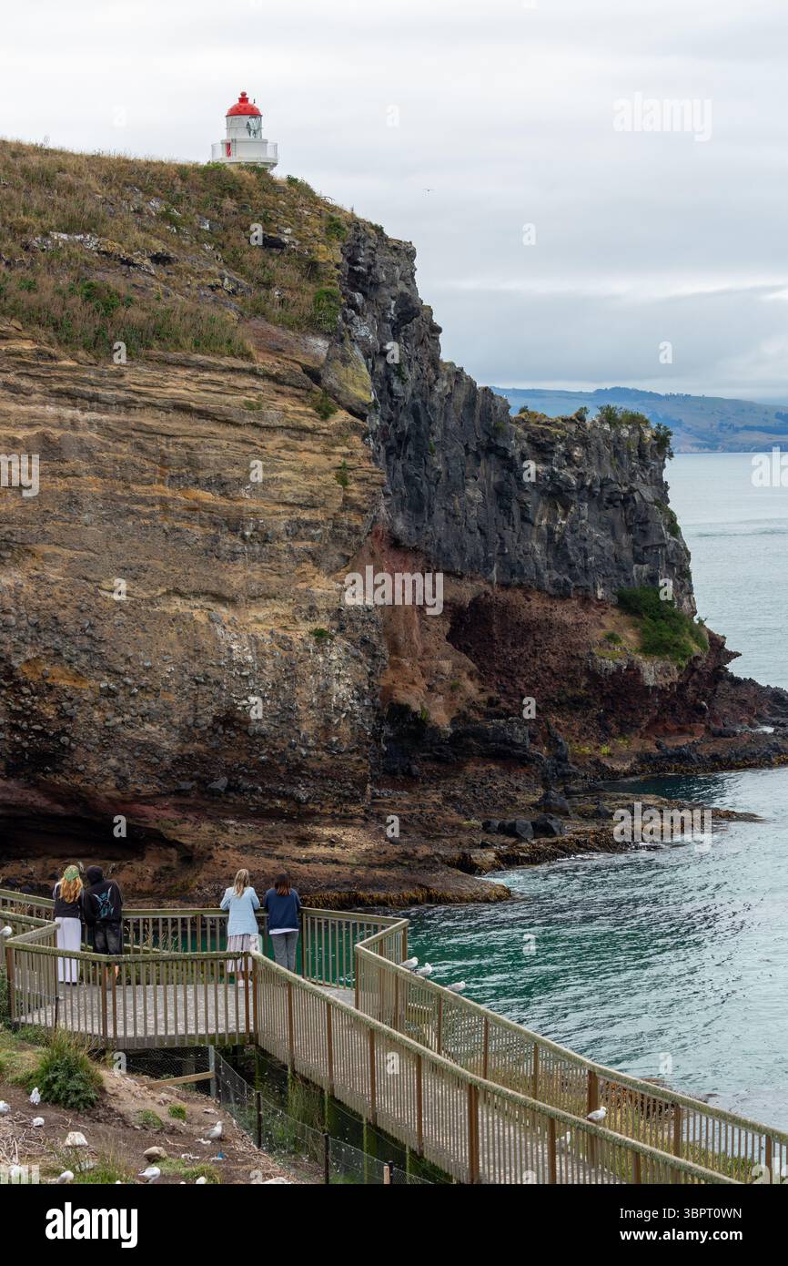 Taiaroa head nature reserve hi res stock photography and images Alamy Taiaroa head nature reserve hi res stock photography and images Alamy
