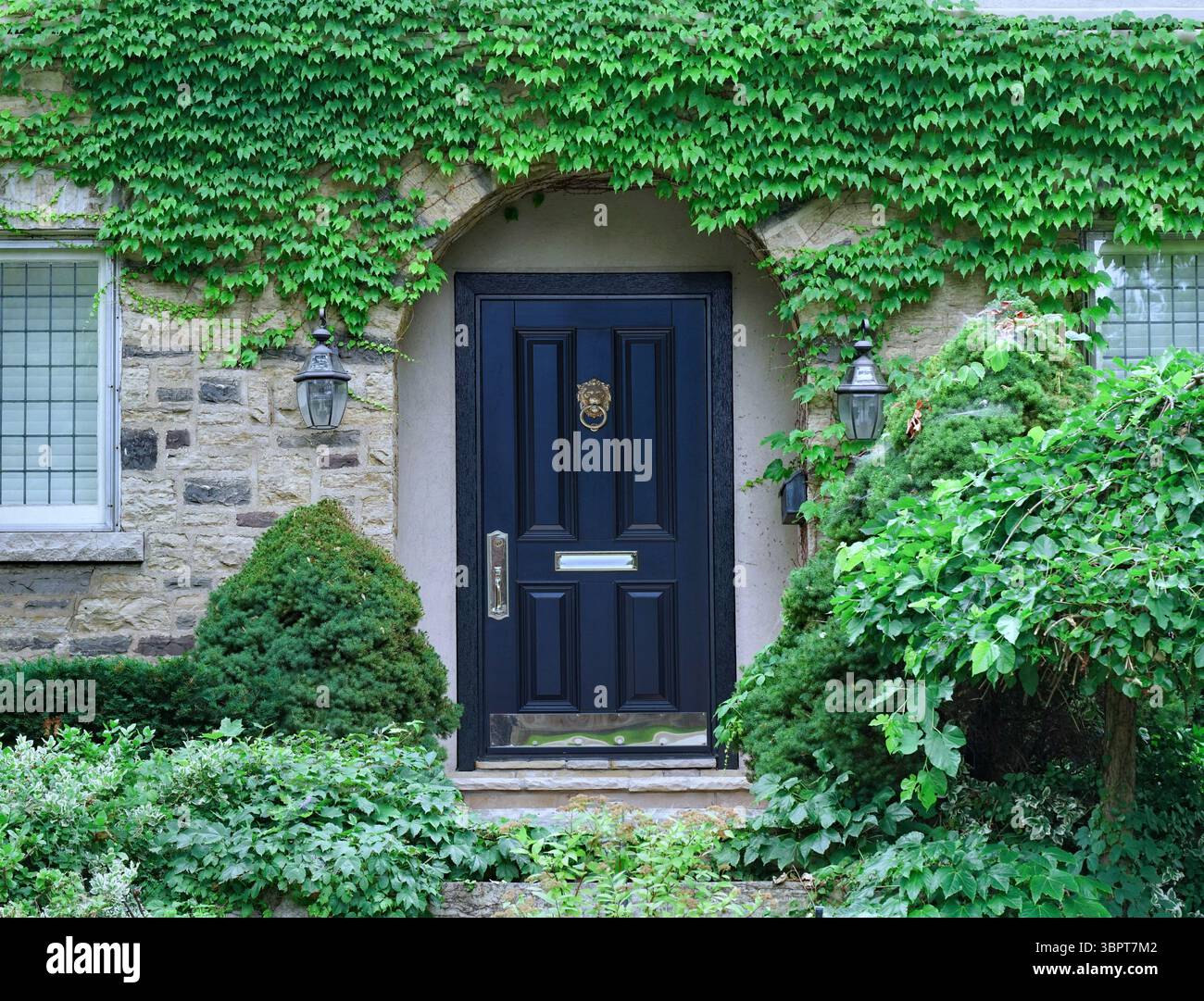 Front door of vine covered stone house Stock Photo - Alamy