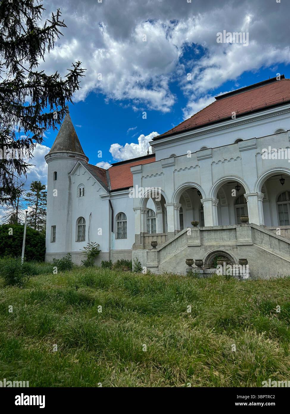 Fantast Castle near Bečej, Serbia, photographed on May 25, 2025. Once a symbol of elegance, the historic site now shows clear signs of neglect—cracked - Smartphone Captured Stock Image