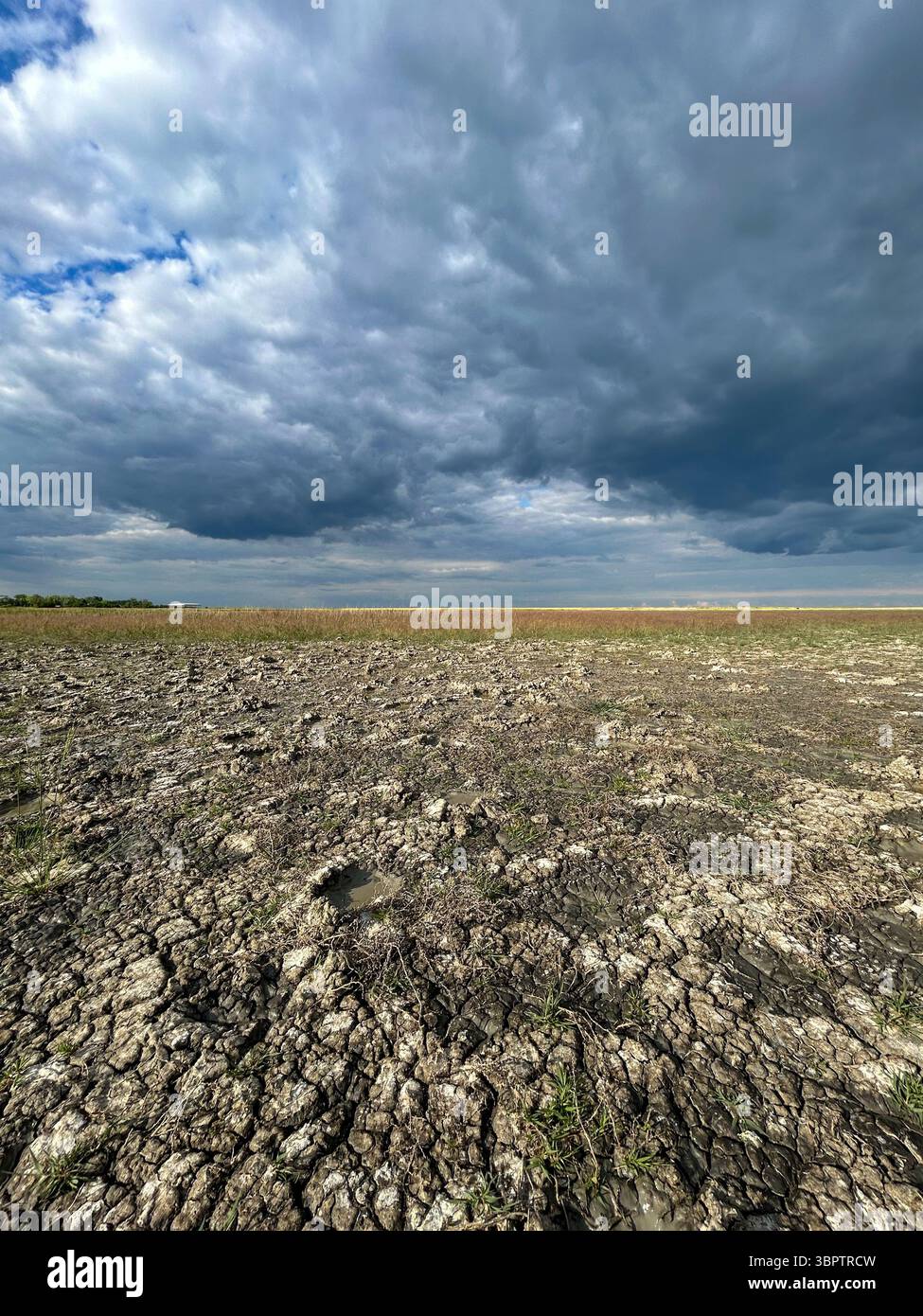Deep cracks in the arid soil of Slano Kopovo, a special nature reserve in Serbia. A powerful scene under dramatic skies showing the impact of dry cond - Smartphone Captured Stock Image
