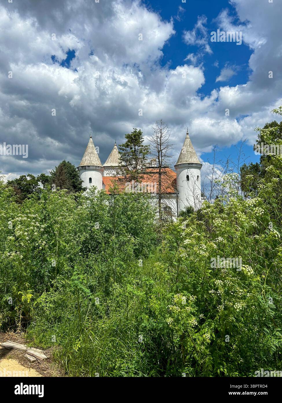 Photographed on May 25, 2025, this image shows the neglected state of Fantast Castle near Bečej, Serbia, hidden behind dense overgrowth. - Smartphone Captured Stock Image