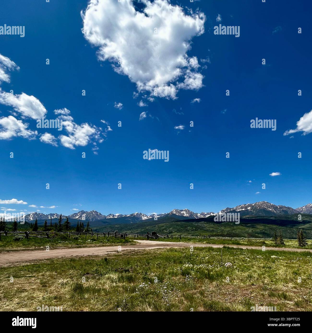 Open Green Field with Rustic Wooden Fence Leading to Distant Snowy Mountains - Smartphone Captured Stock Image Open Green Field with Rustic Wooden Fence Leading to Distant Snowy Mountains - Smartphone Captured Stock Image