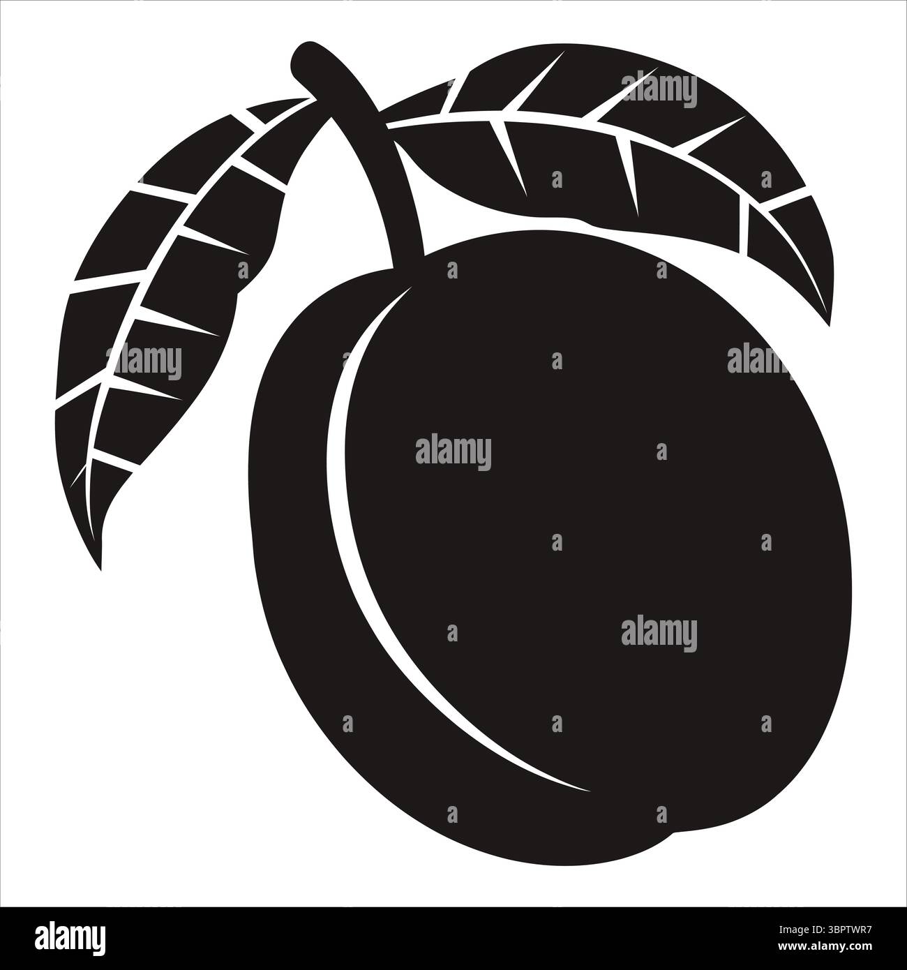 Black plum with leaves fruit white Stock Vector