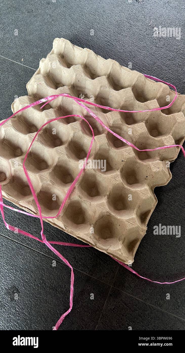 Empty Recycled Cardboard Egg Carton on Black Background - Smartphone Captured Stock Image