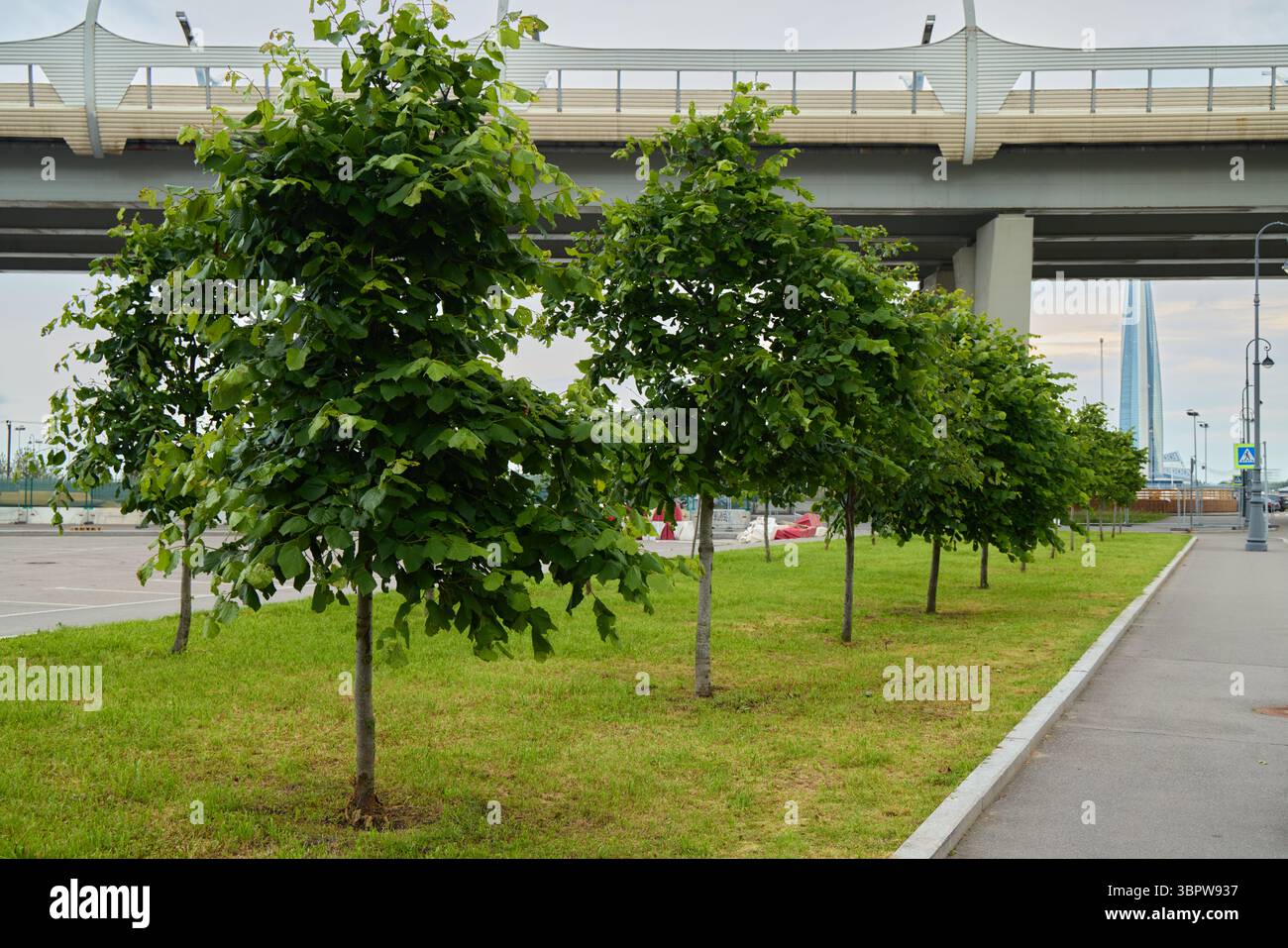 A closer look at Urban Greenery Infrastructure