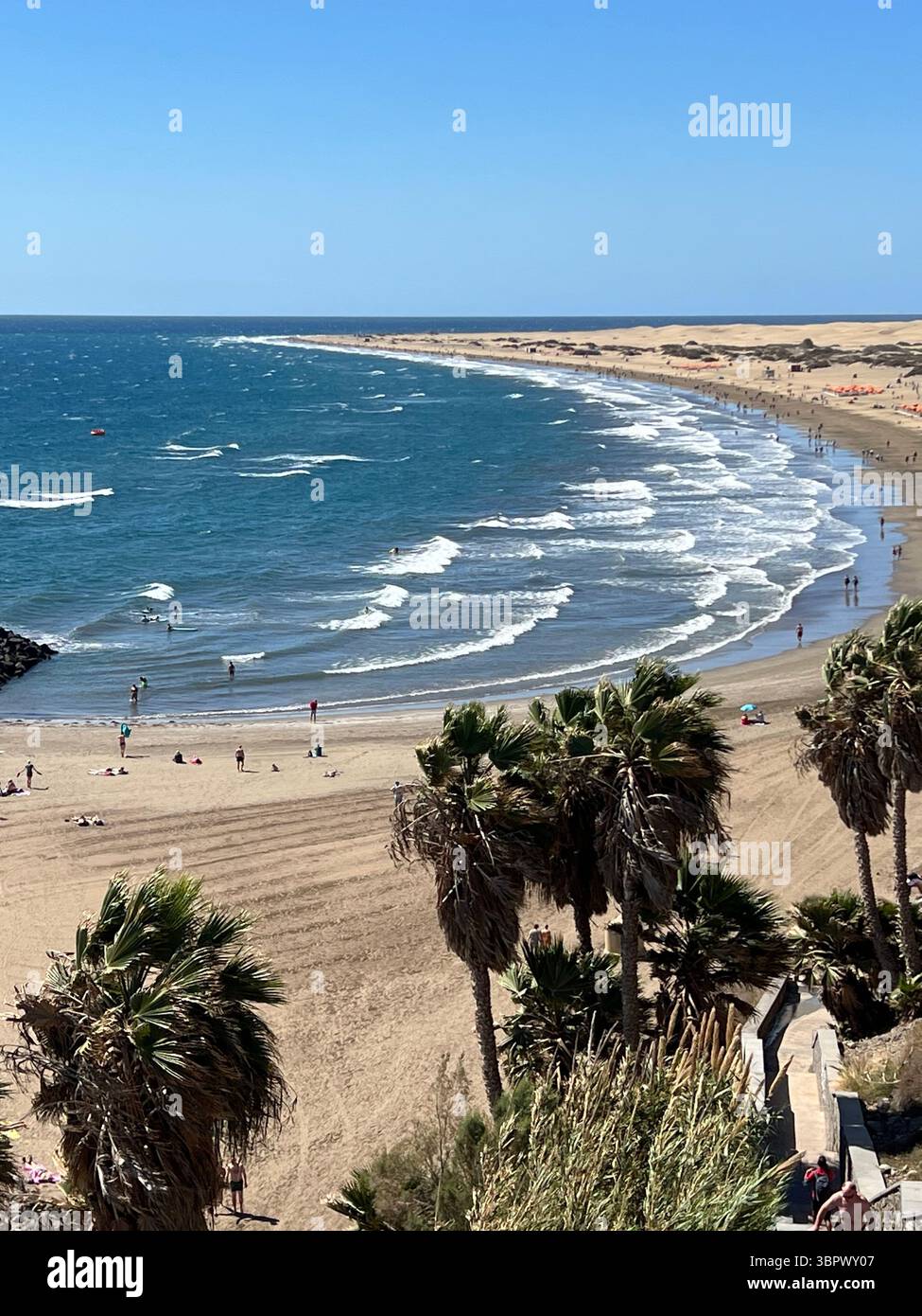 A beautiful beach scene with palm trees, waves, and a clear blue sky in Playa Del Ingles, Canary Islands - Smartphone Captured Stock Image