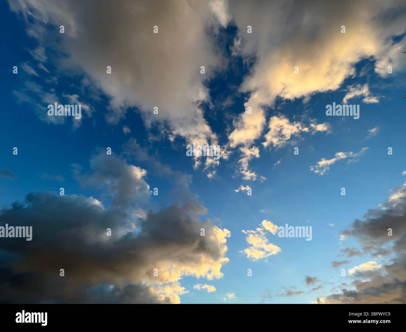 The sky is a beautiful canvas of blue, with clouds of white and gold. - Smartphone Captured Stock Image