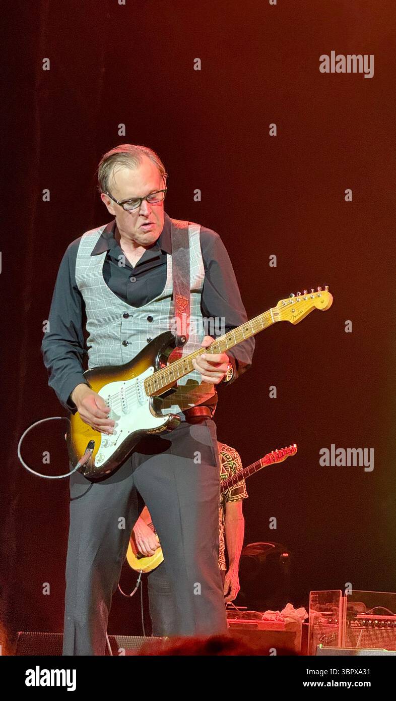 Blues guitarist Joe Bonamassa playing a Fender Stratocaster in concert performing Rory Gallagher songs in Cork for the 30th anniversary of his death - Smartphone Captured Stock Image