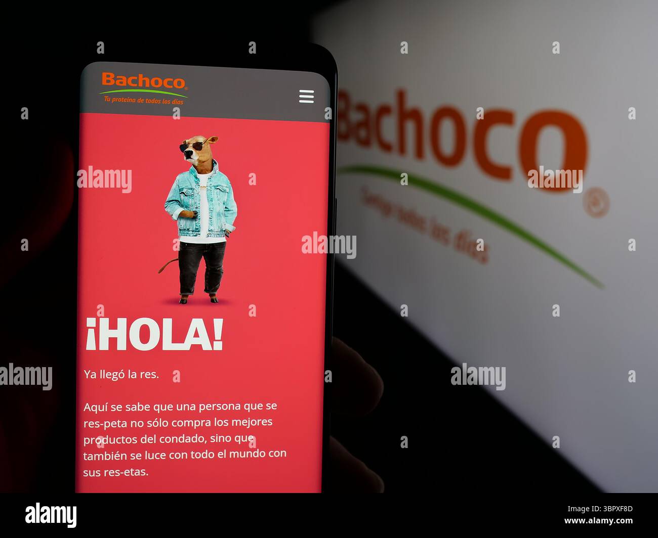 Bachoco logo hi-res stock photography and images - Alamy
