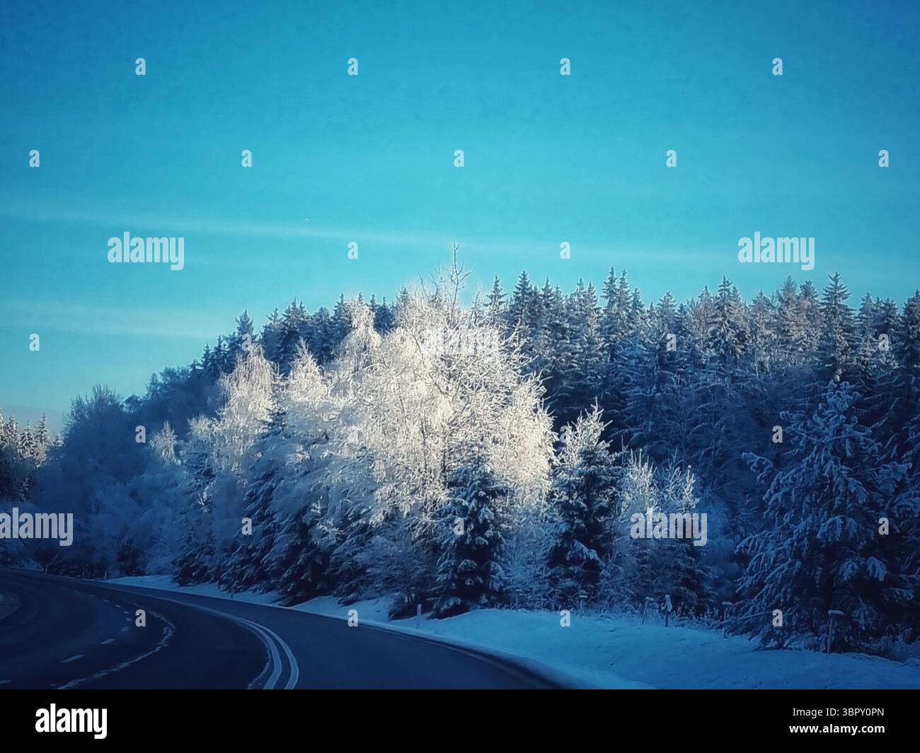 A beautiful winter landscape of a vast forest covered in white hoarfrost and snow, stretching out under a brilliant, clear blue sky in Czechia. - Smartphone Captured Stock Image