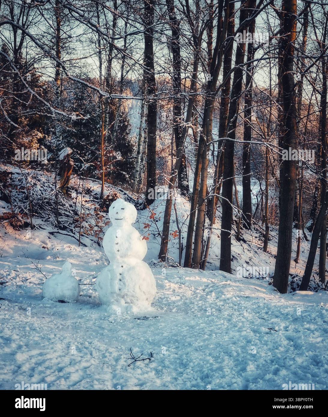 A charming, classic snowman with stick arms stands alone in a snowy woodland setting, embodying the joyful spirit of a Christmas holiday in winter - Smartphone Captured Stock Image