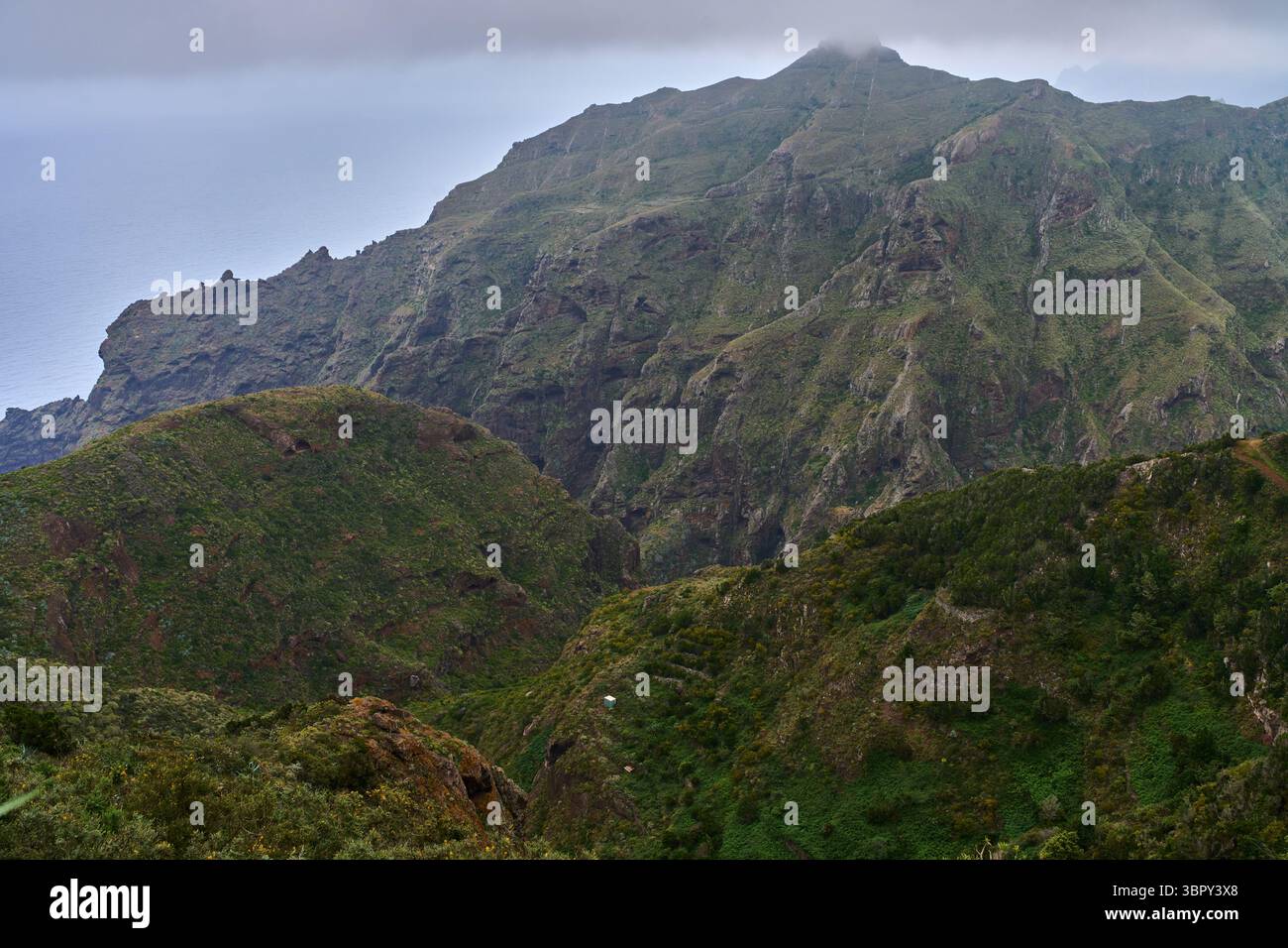 Steep ravines and volcanic cliffs descending toward the ocean in the ...