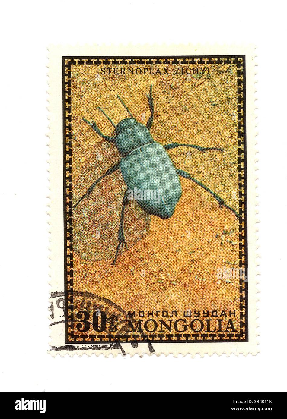 A vintage insect postage stamp from Mongolia isolated on a white ...