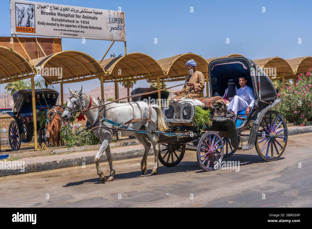 Young arab tourist couple in horse-drawn carriage in the streets of Luxor, Egypt Stock Photo