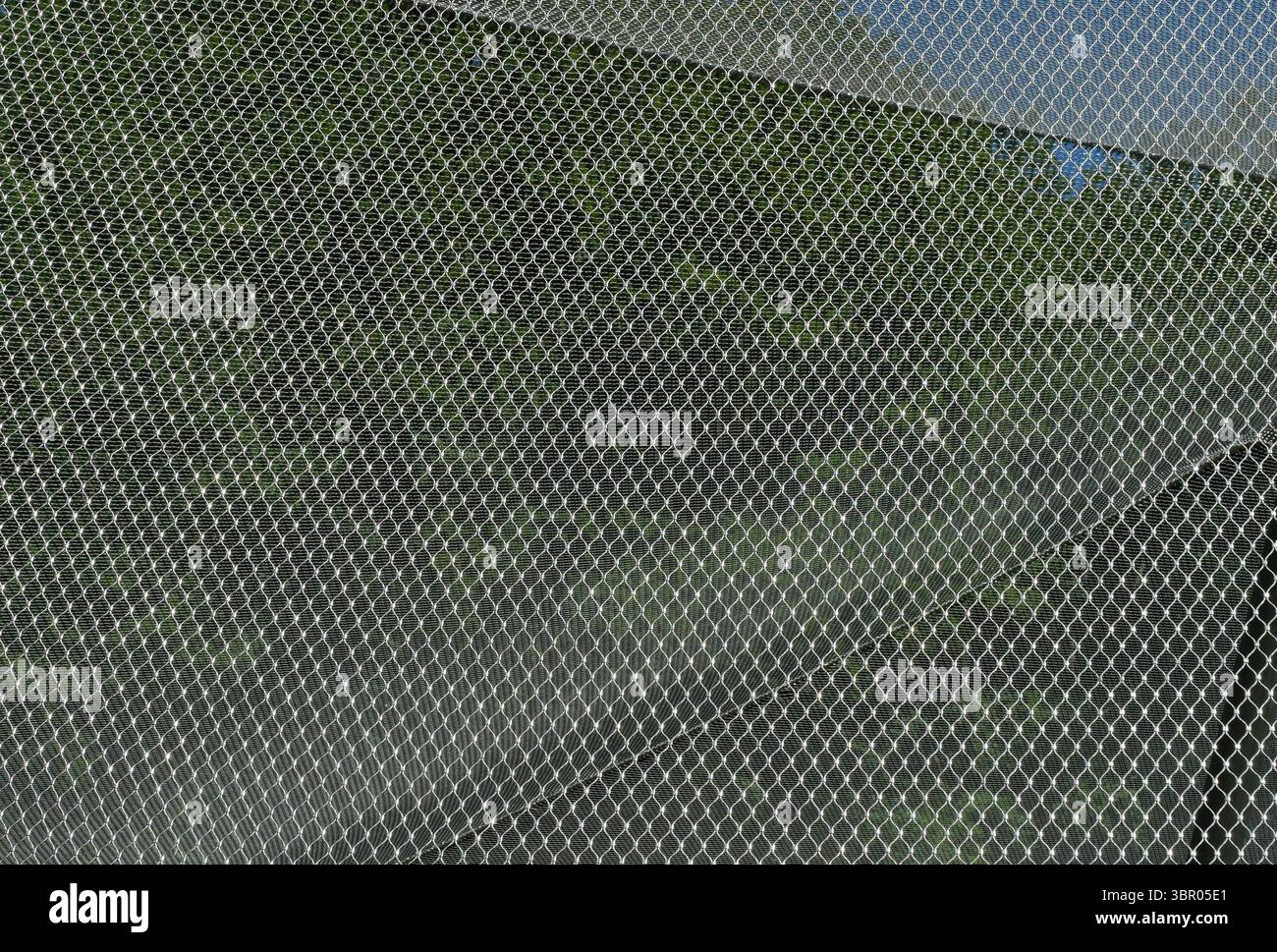 High-quality stainless steel mesh at animal enclosure. Technical, modern, clear structure. Copyspace. Stock Photo