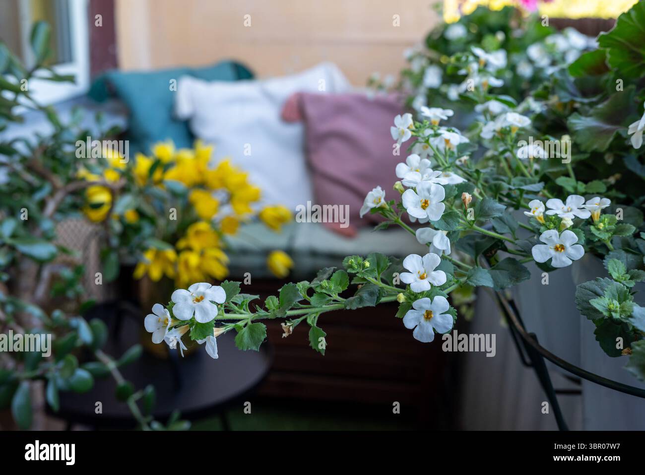 A lived-in balcony with a lounge chair, soft pillows, and blooming flowers. The setting feels real and unpolished, offering a cozy, everyday atmospher. Stock Photo
