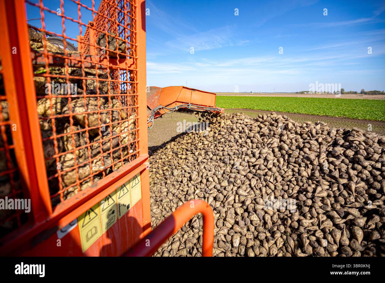 Agricultural machine, harvester for cutting and harvesting mature sugar ...