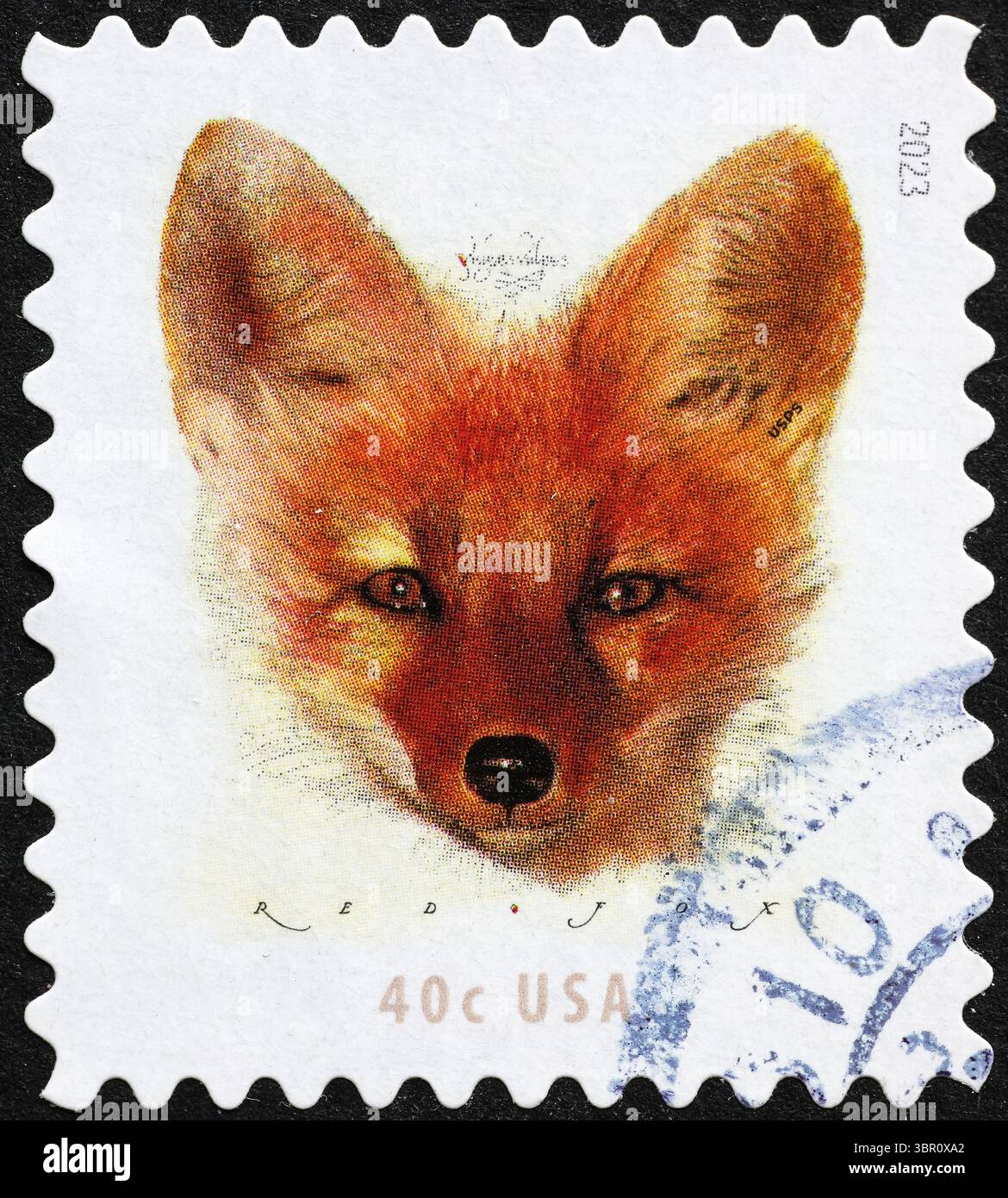 Red fox portrait on american postage stamp Stock Photo