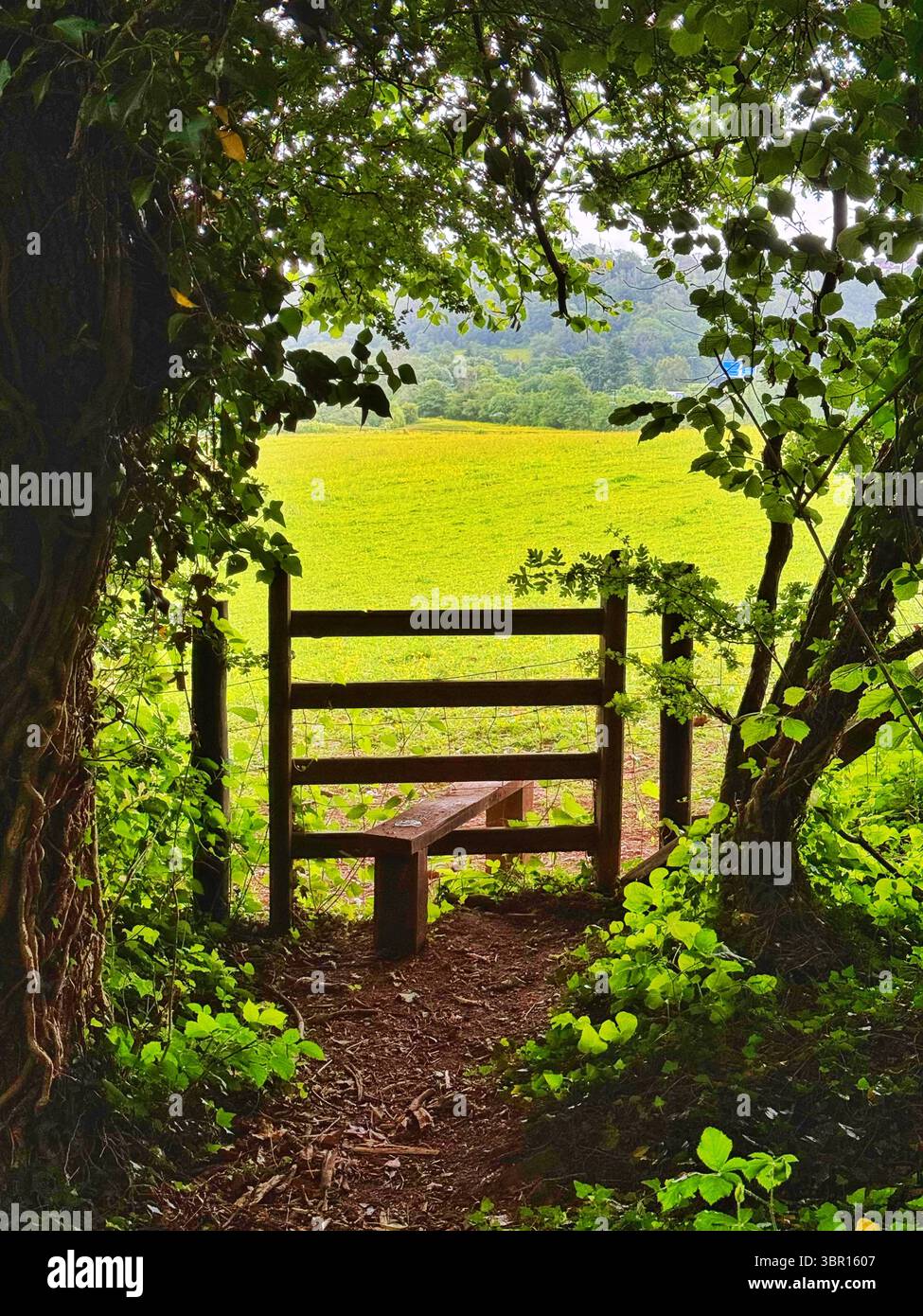Country stile leading from woodland into a field, South Wales - Smartphone Captured Stock Image