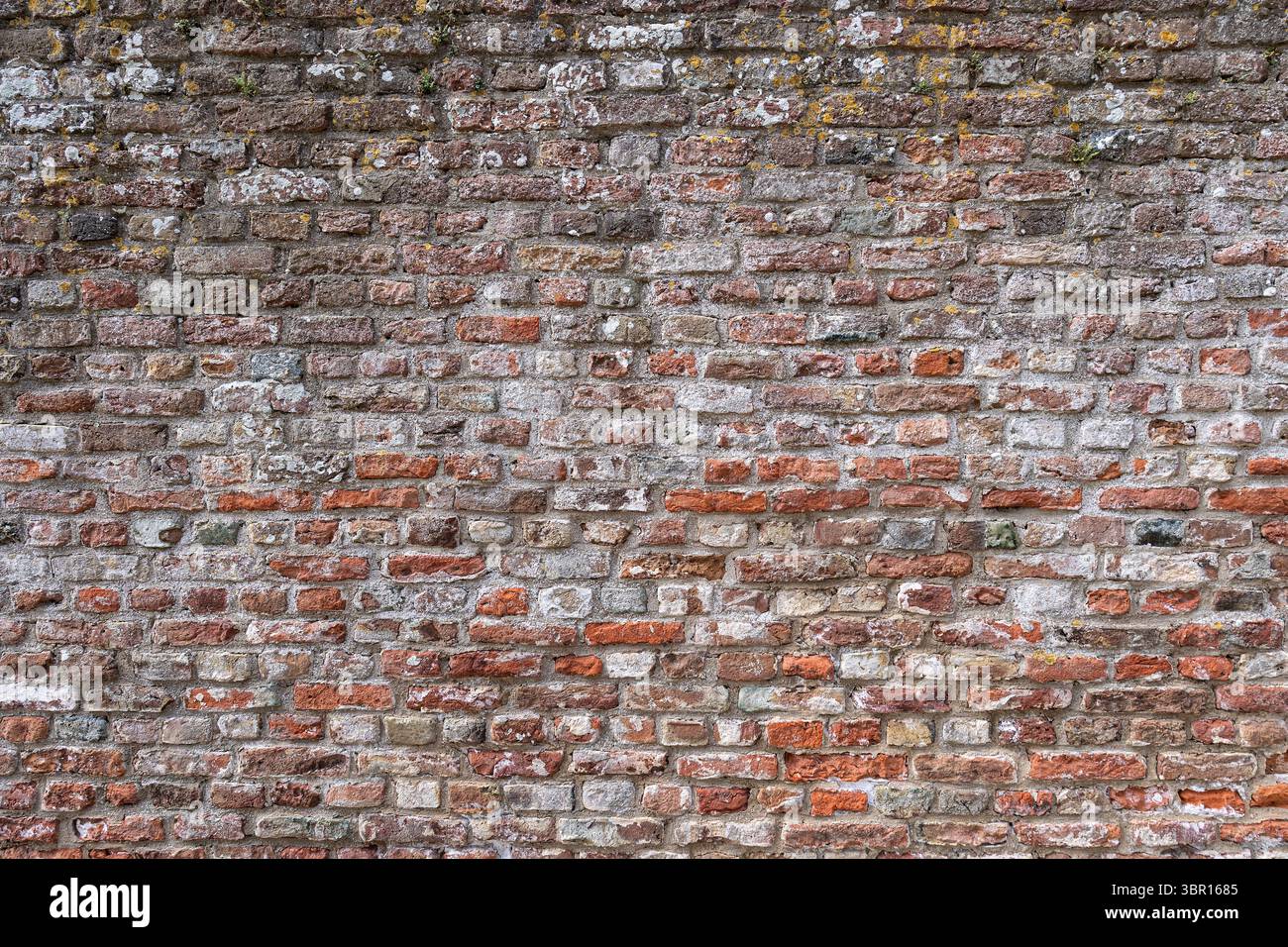 brick wall for background use Stock Photo