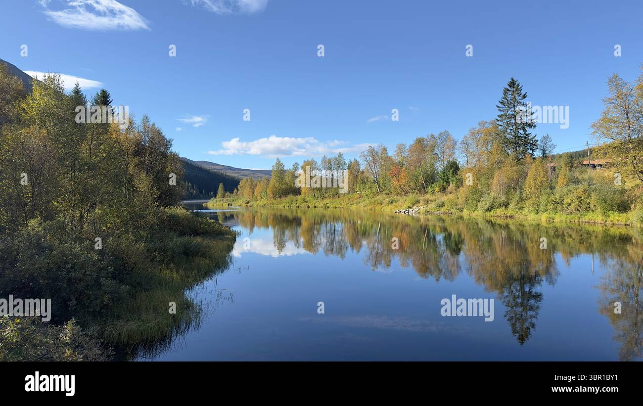 The calm river reflects the beautiful autumn colors under a clear blue sky. - Smartphone Captured Stock Image The calm river reflects the beautiful autumn colors under a clear blue sky. - Smartphone Captured Stock Image