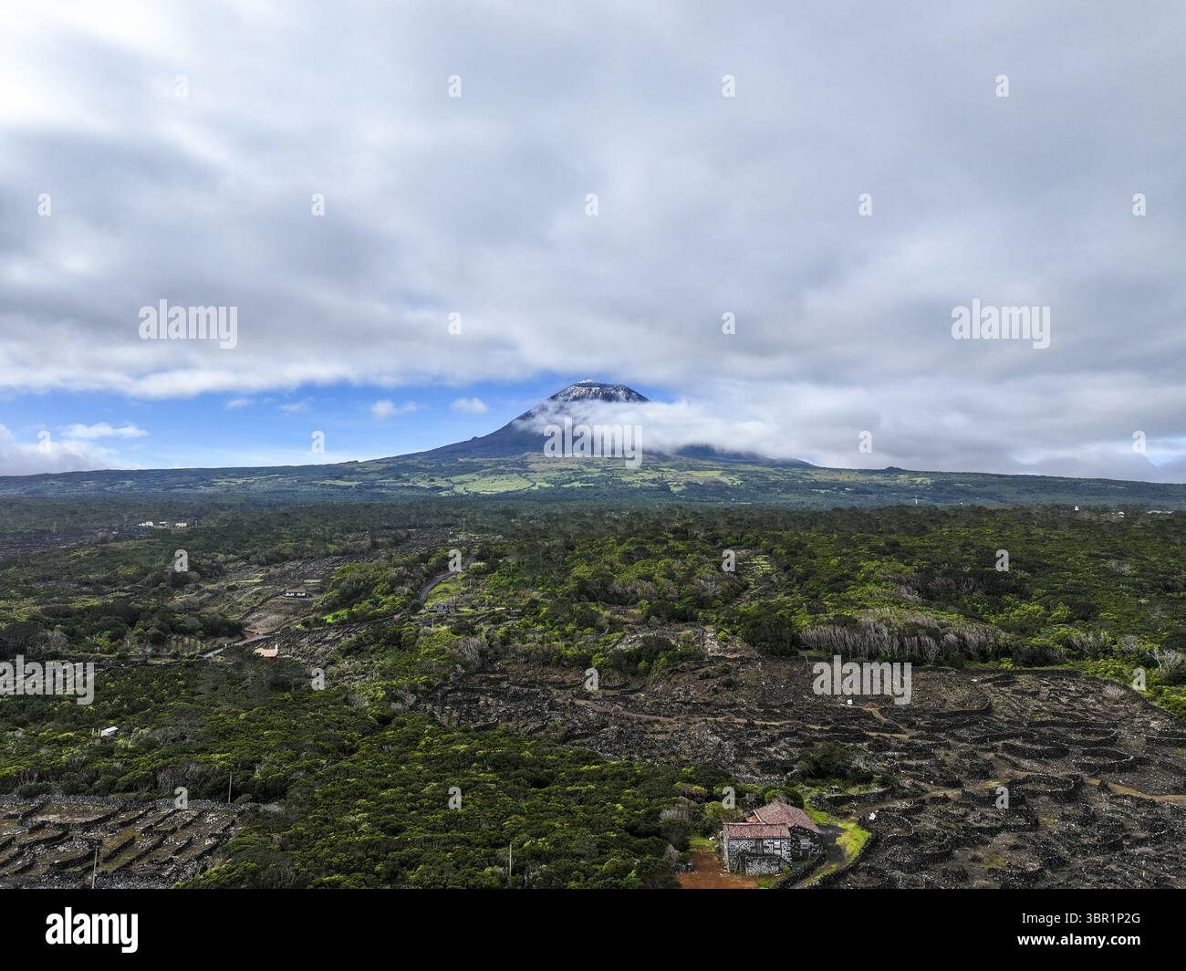 Aerial view of the majestic Pico Mountain rises amidst a sea of green ...