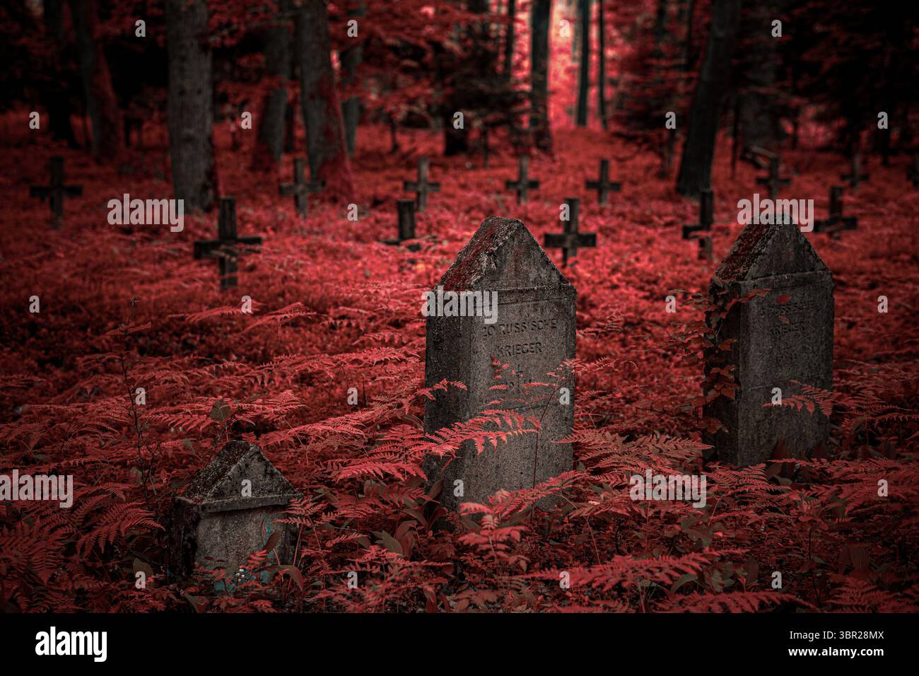 German soldier grave abandoned hi-res stock photography and images - Alamy