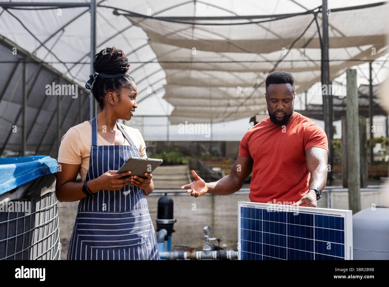 African American colleagues holding tablet and examining solar panel setup inside greenhouse. Agriculture, sustainability, innovation, technology, tea Stock Photo