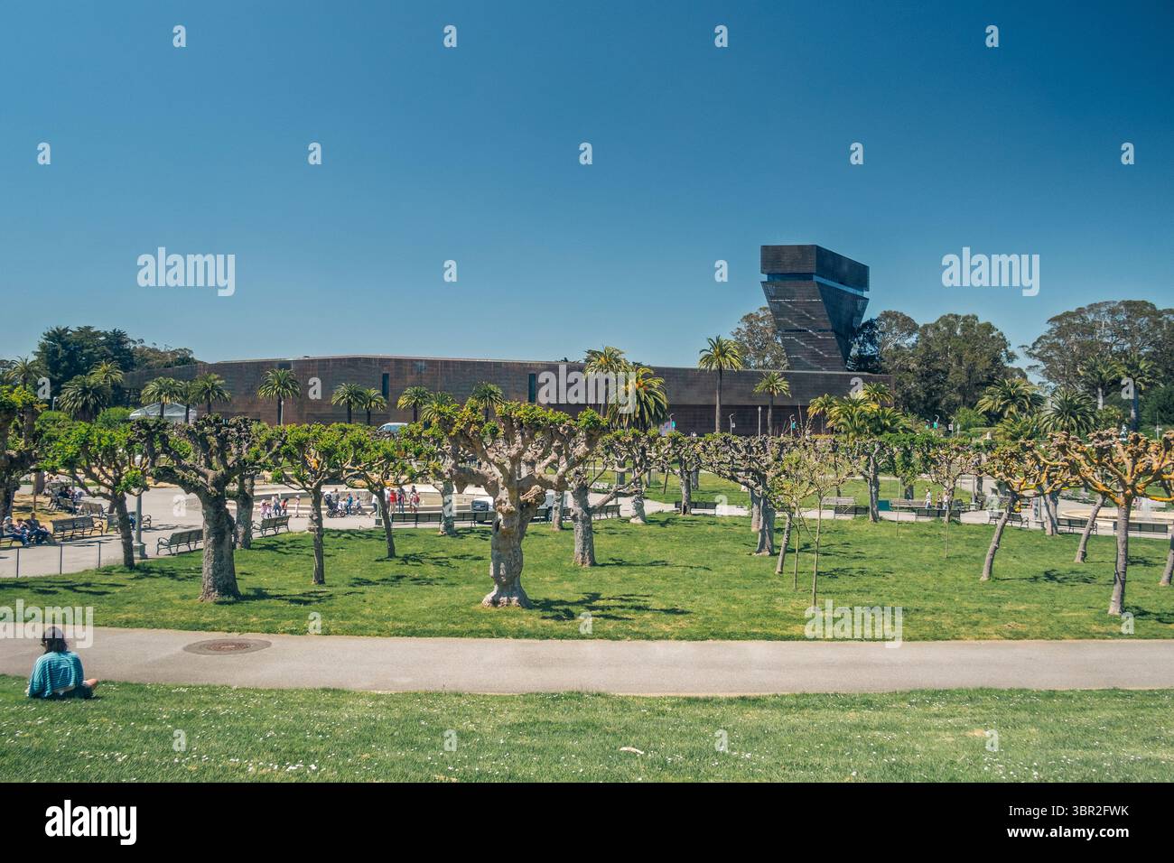 The M.H. de Young Memorial Museum at the Golden Gate Park in San Francisco California, USA. An artistic, eclectic, innovative, advanced and ecological Stock Photo