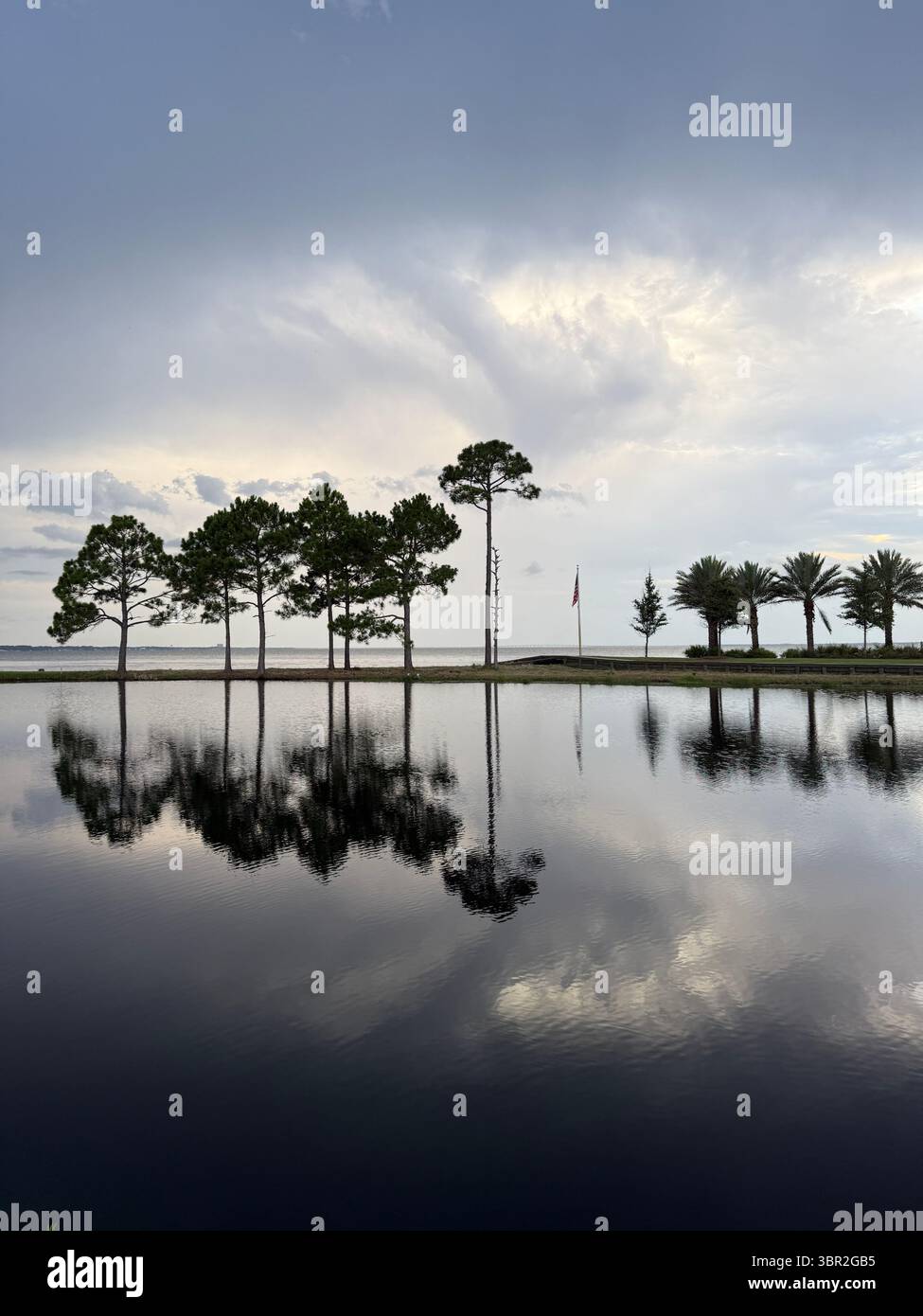 Gray sunset sky with pine trees reflecting onto water Stock Photo - Alamy