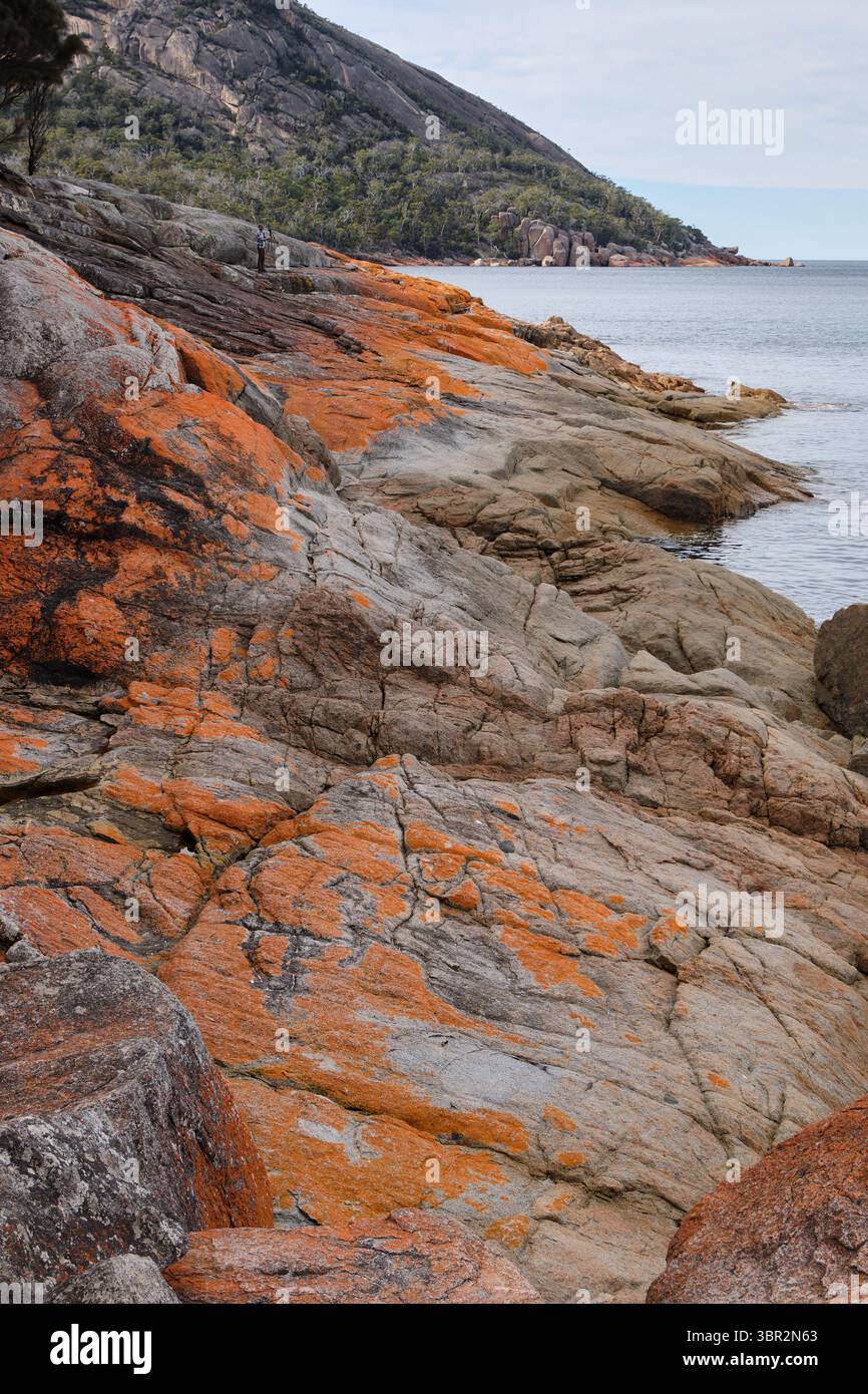 Red-orange lichen covered rocks at Wineglass Bay - Freycinet Peninsula, Tasmania, Australia Stock Photo