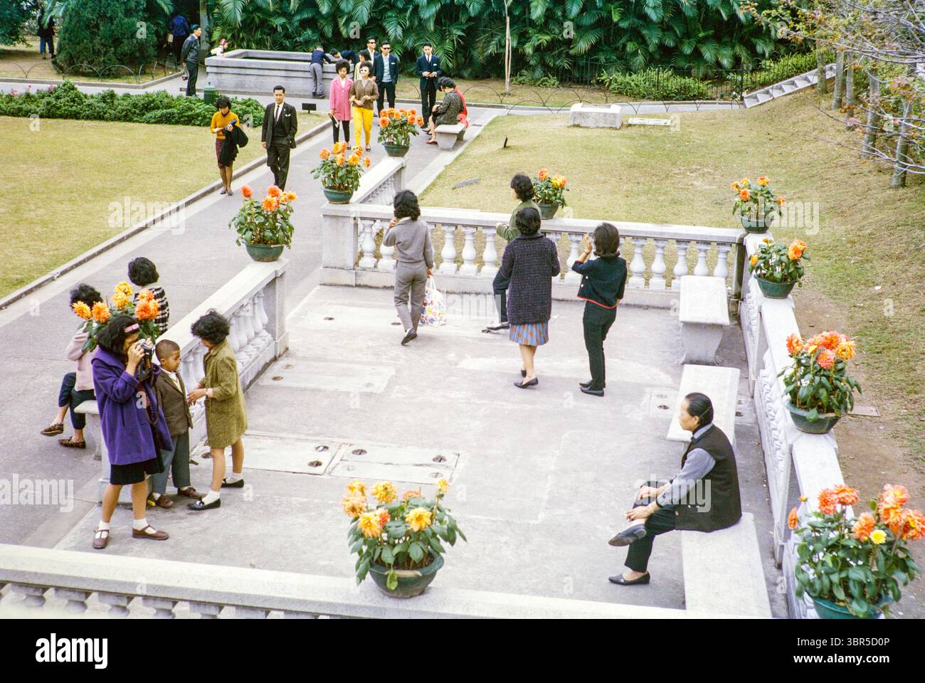 Sunday outings family photo, Mid Levels, Botanical Gardens, Hong Kong, Asia, 1964 Stock Photo