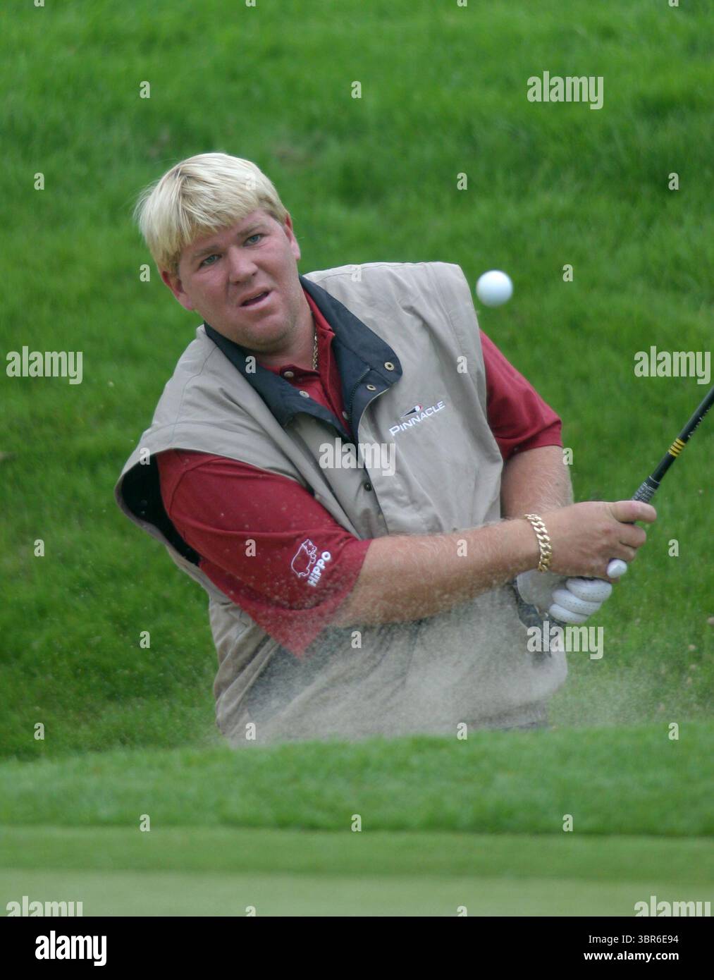 Benson & Hedges Logo 2023 DeMarini Voodoo ONE -5 USA Baseball Bat Australia