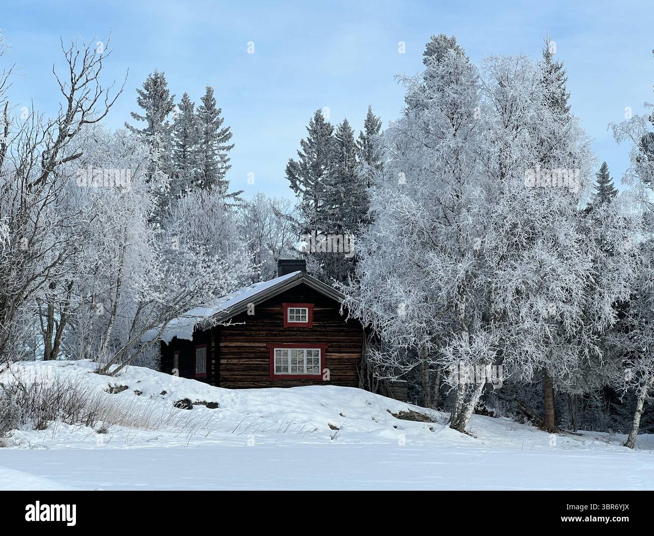 A charming wooden cabin in a snow-covered winter landscape with frosty trees. - Smartphone Captured Stock Image