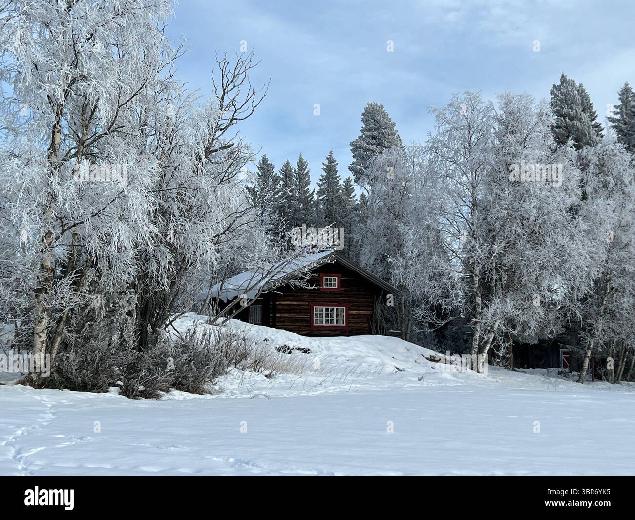 A charming wooden cabin in a snow-covered winter landscape with frosty trees. - Smartphone Captured Stock Image