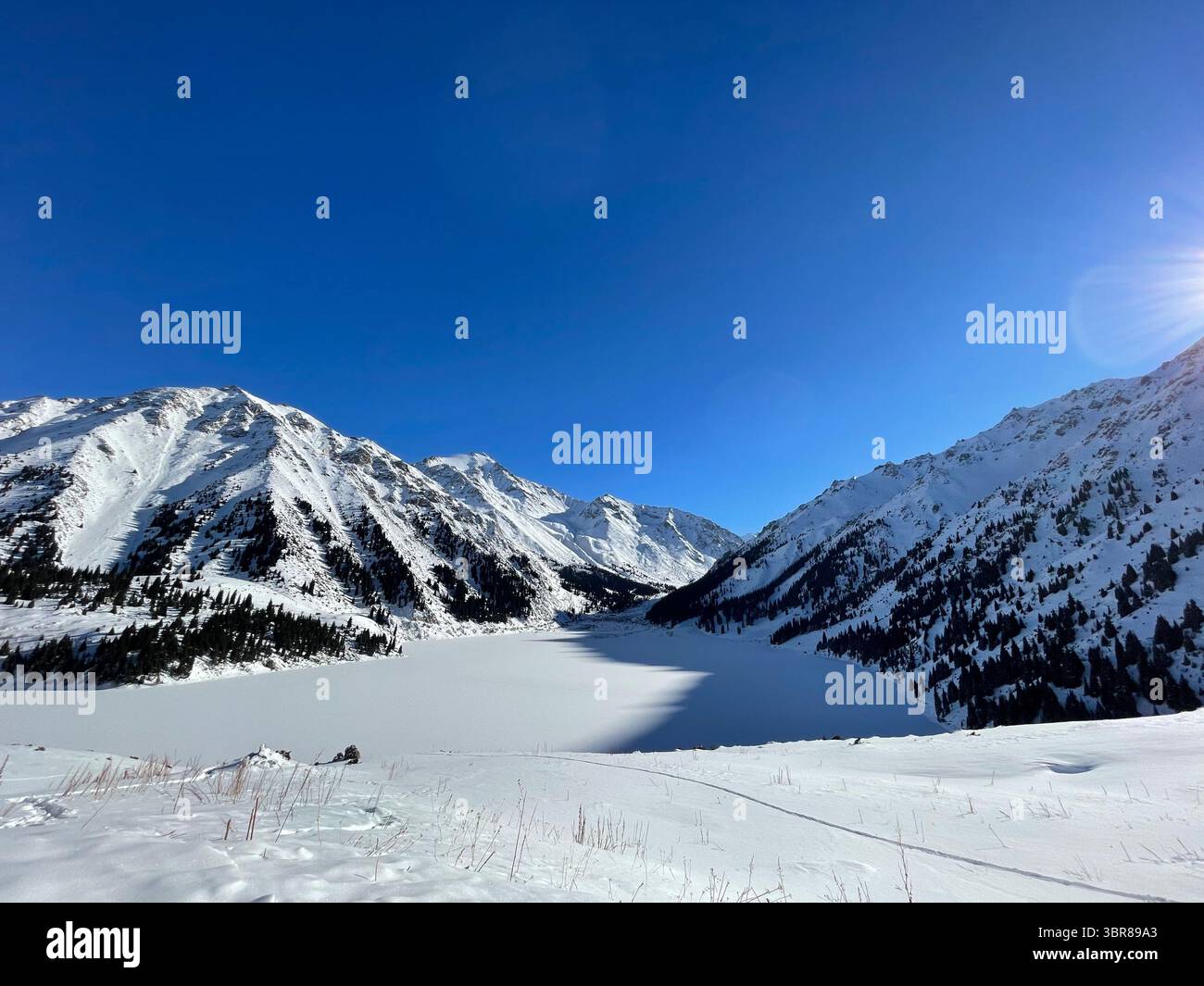 Winter silence at Big Almaty Lake: frozen mirror, snowy peaks, and pine‑dotted slopes under a crystal blue Tien Shan sky—captured on iPhone - Smartphone Captured Stock Image