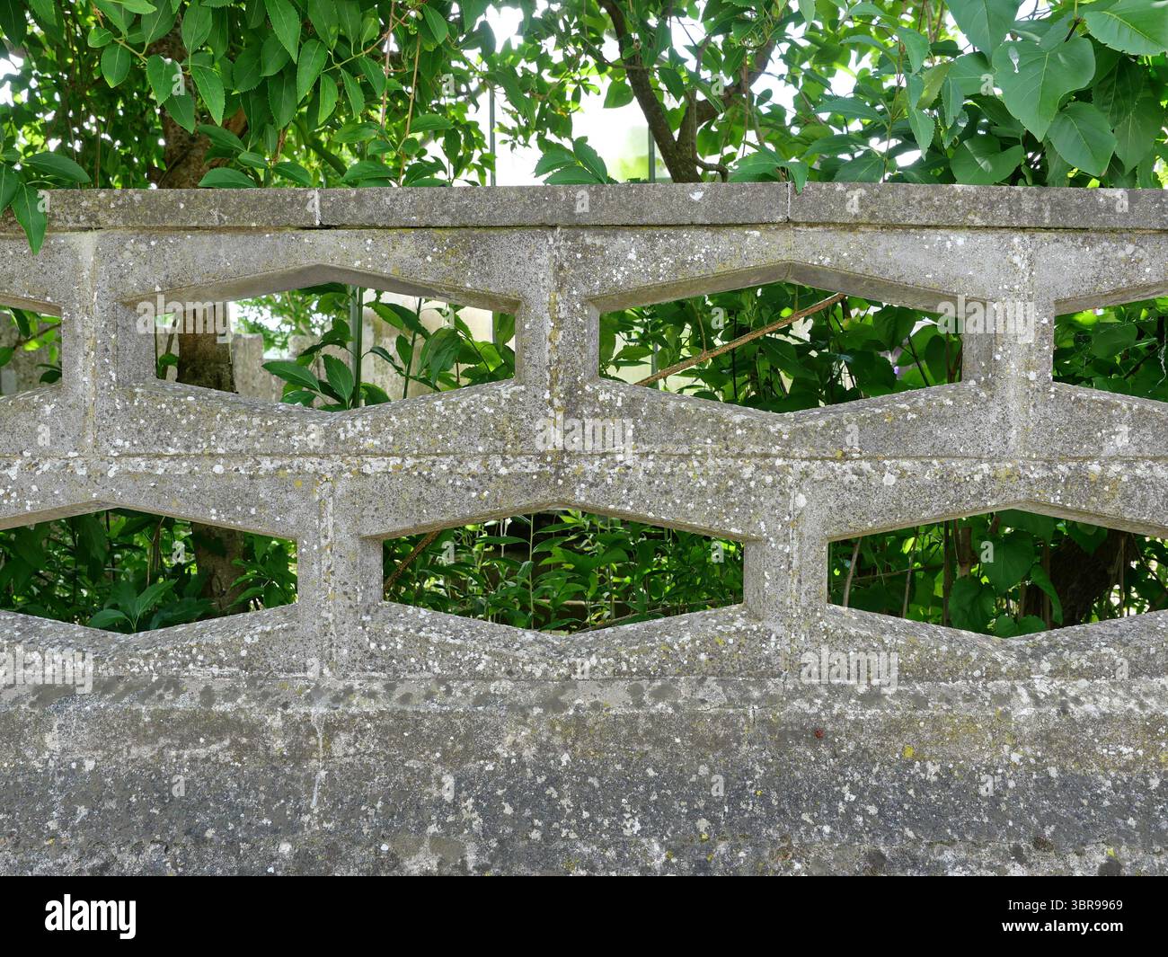 How to Decorate a Cement Block Wall: Creative Ideas That Impress